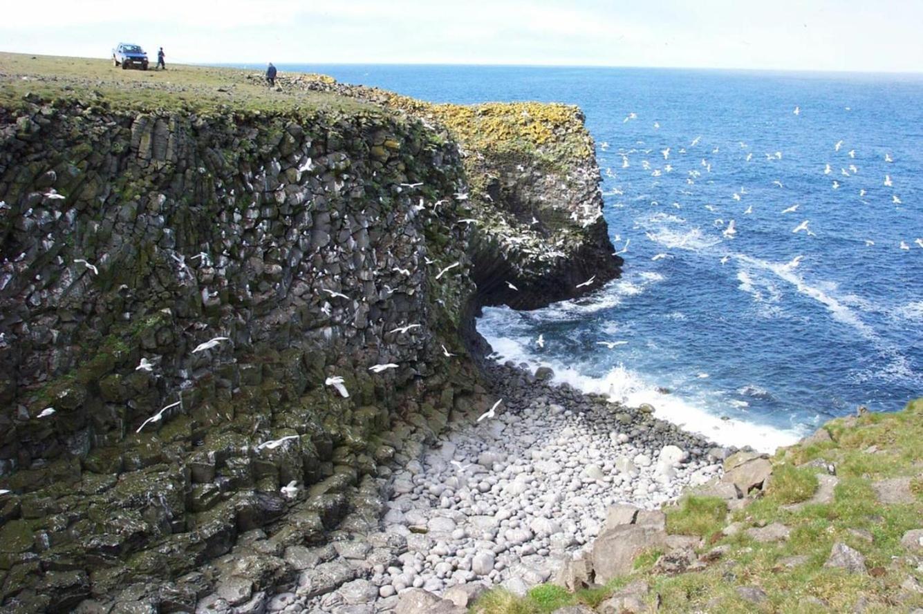 Þórshöfn Cave Apartment المظهر الخارجي الصورة